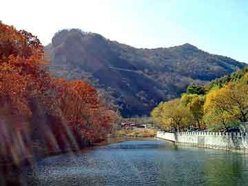 管家婆黑白马报图库，警察钱包